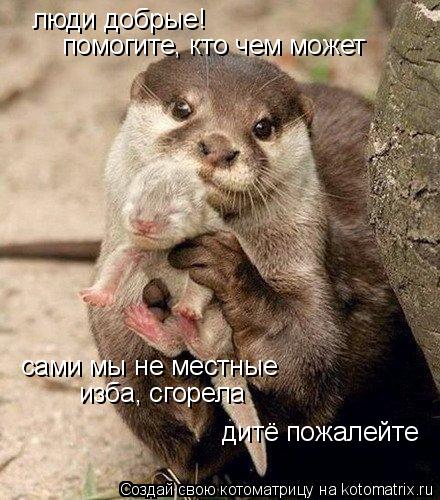 люди добрые! помогите, кто чем может сами мы не местные дитё пожалейте изба, сгорела... Котоматрица: люди добрые! помогите, кто чем может сами мы не местные дитё пожалейте изба, сгорела