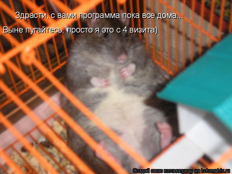 Здрасти, с вами программа пока все дома... Выне пугайтесь, просто я это с 4 визита)... Котоматрица: Здрасти, с вами программа пока все дома... Выне пугайтесь, просто я это с 4 визита)