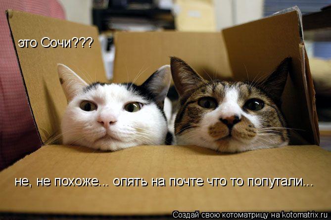 это Сочи??? не, не похоже... опять на почте что то попутали...... Котоматрица: это Сочи??? не, не похоже... опять на почте что то попутали...