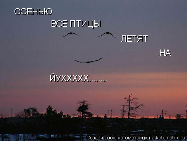 ОСЕНЬЮ ВСЕ ПТИЦЫ ЛЕТЯТ НА ЙУХХХХХ........... Котоматрица: ОСЕНЬЮ ВСЕ ПТИЦЫ ЛЕТЯТ НА ЙУХХХХХ........