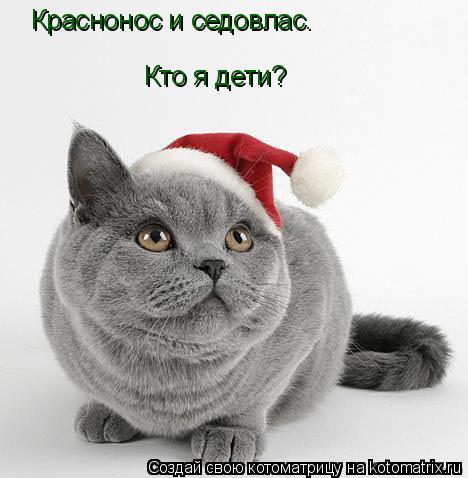 Краснонос и седовлас. Кто я дети?... Котоматрица: Краснонос и седовлас. Кто я дети?