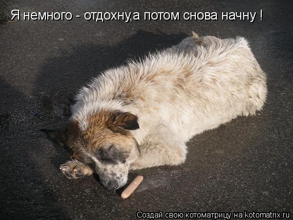 Я немного - отдохну,а потом снова начну !... Котоматрица: Я немного - отдохну,а потом снова начну !