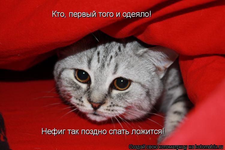 Котоматрица: Кто, первый того и одеяло! Нефиг так поздно спать ложится!