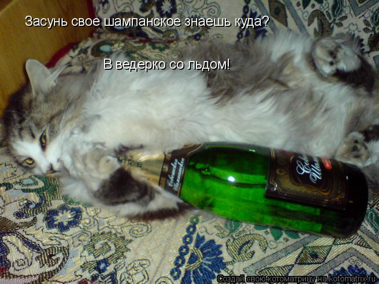 Засунь свое шампанское знаешь куда? В ведерко со льдом!... Котоматрица: Засунь свое шампанское знаешь куда? В ведерко со льдом!