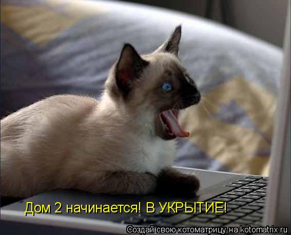 Дом 2 начинается! В УКРЫТИЕ!... Котоматрица: Дом 2 начинается! В УКРЫТИЕ!