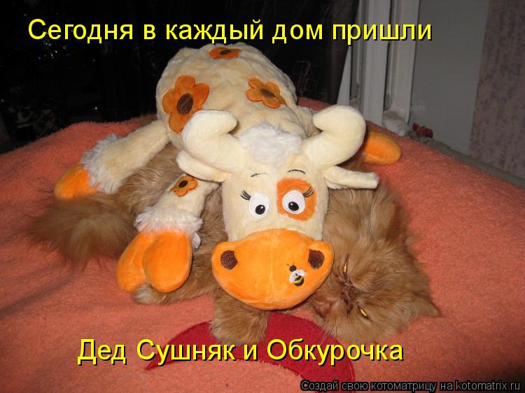Сегодня в каждый дом пришли Дед Сушняк и Обкурочка... Котоматрица: Сегодня в каждый дом пришли Дед Сушняк и Обкурочка