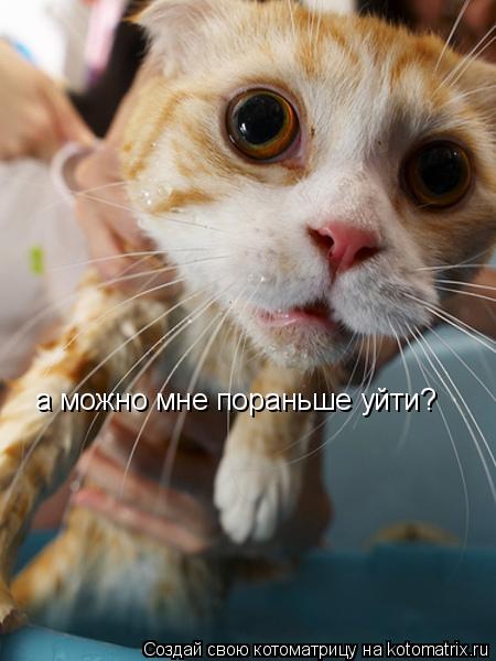 а можно мне пораньше уйти?... Котоматрица: а можно мне пораньше уйти?