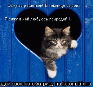 Сежу за решоткой! В темнице сырой... Я сижу в ней Я сижу в ней любуюсь природой!!!... Котоматрица: Сежу за решоткой! В темнице сырой... Я сижу в ней Я сижу в ней любуюсь природой!!!