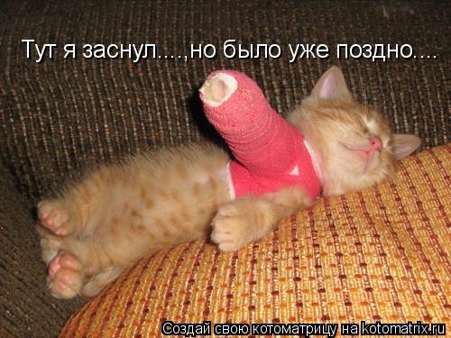 Тут я заснул....,но было уже поздно....... Котоматрица: Тут я заснул....,но было уже поздно....