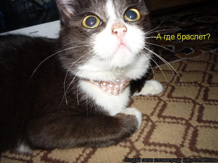 -А где браслет?... Котоматрица: -А где браслет?