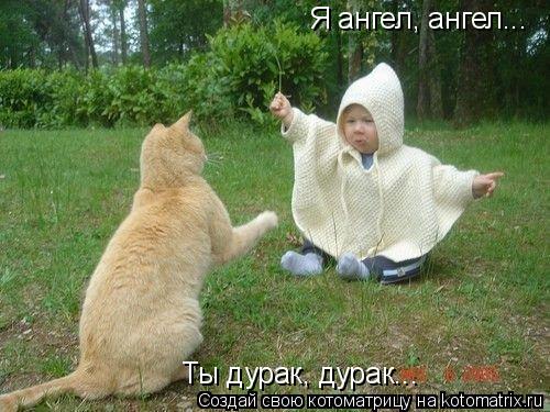 Я ангел, ангел... Ты дурак, дурак...... Котоматрица: Я ангел, ангел... Ты дурак, дурак...