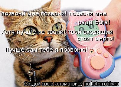 позвони мне позвони! позвони мне ради Бога! Хотя лучше не звони! твой входящий стоит много! Лучше са... Котоматрица: позвони мне позвони! позвони мне ради Бога! Хотя лучше не звони! твой входящий стоит много! Лучше сам тебе я позвоню!