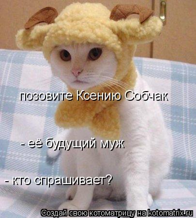 позовите Ксению Собчак - кто спрашивает? - её будущий муж... Котоматрица: позовите Ксению Собчак - кто спрашивает? - её будущий муж