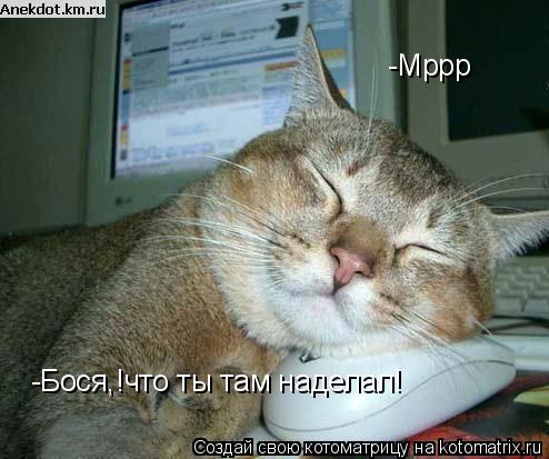 -Мррр -Бося,!что ты там наделал!... Котоматрица: -Мррр -Бося,!что ты там наделал!