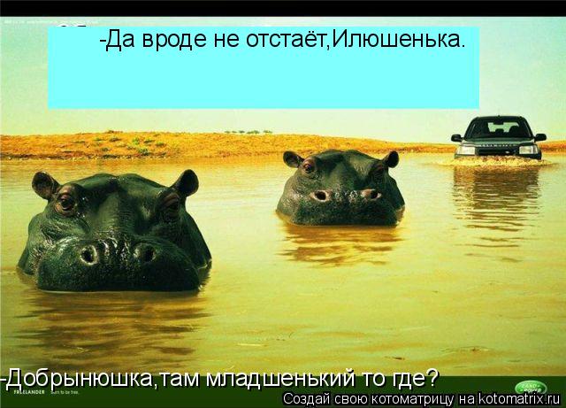 -Добрынюшка,там младшенький то где? -Да вроде не отстаёт,Илюшенька.... Котоматрица: -Добрынюшка,там младшенький то где? -Да вроде не отстаёт,Илюшенька.