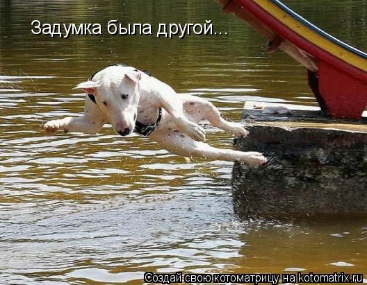 Задумка была другой...... Котоматрица: Задумка была другой...
