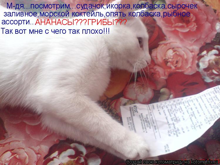 М-дя...посмотрим...судачок,икорка,колбаска,сырочек заливное,морской коктейль,опять колбаска,рыбное а... Котоматрица: М-дя...посмотрим...судачок,икорка,колбаска,сырочек заливное,морской коктейль,опять колбаска,рыбное ассорти... АНАНАСЫ???ГРИБЫ??? Так вот мне с