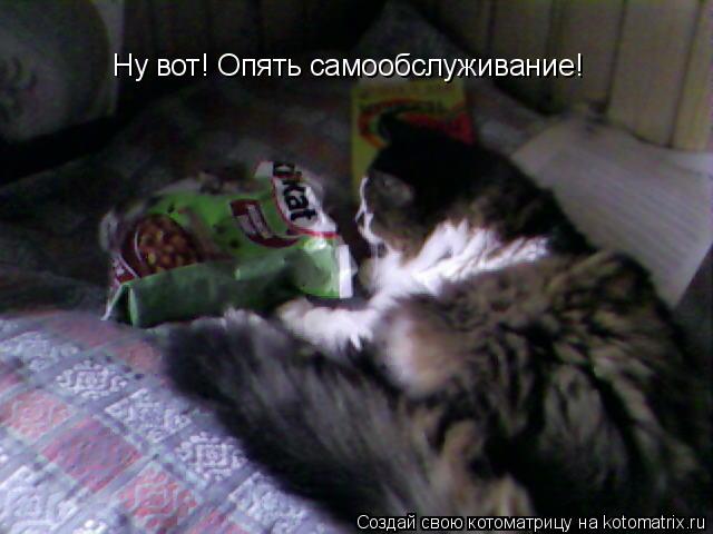 Ну вот! Опять самообслуживание!... Котоматрица: Ну вот! Опять самообслуживание!
