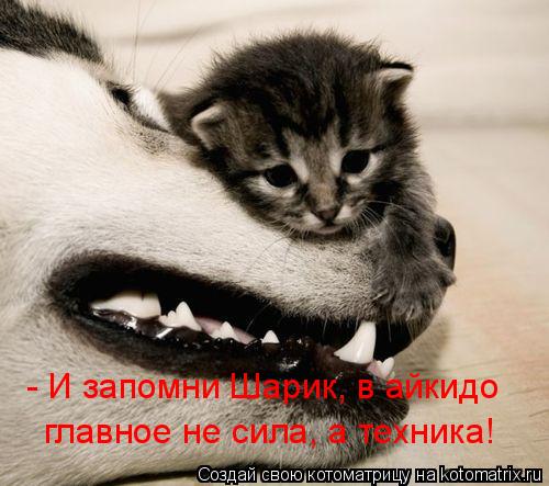 - И запомни Шарик, в айкидо главное не сила, а техника!... Котоматрица: - И запомни Шарик, в айкидо главное не сила, а техника!