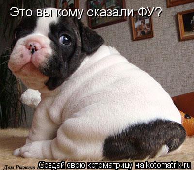 Это вы кому сказали ФУ?... Котоматрица: Это вы кому сказали ФУ?