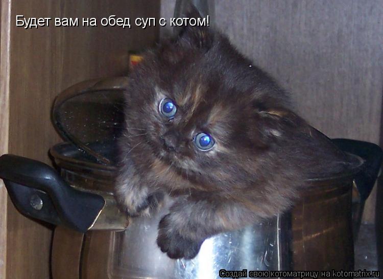 Будет вам на обед суп с котом!... Котоматрица: Будет вам на обед суп с котом!