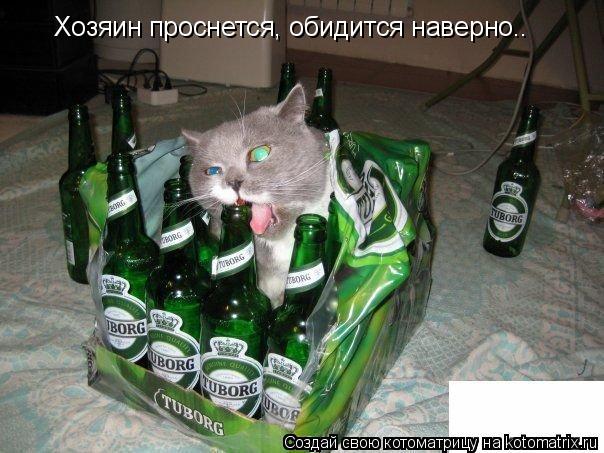Хозяин проснется, обидится наверно..... Котоматрица: Хозяин проснется, обидится наверно..