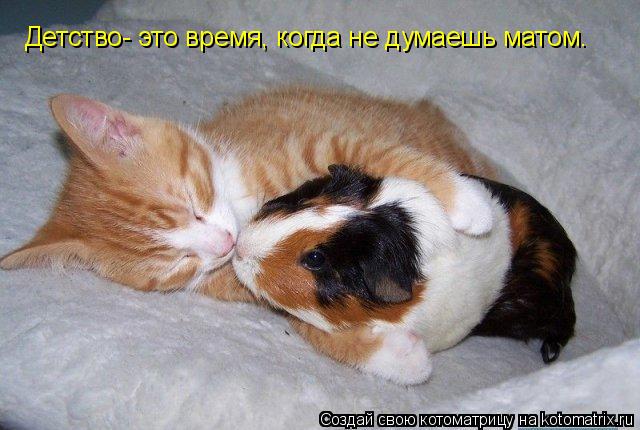 Детство- это время, когда не думаешь матом.... Котоматрица: Детство- это время, когда не думаешь матом.