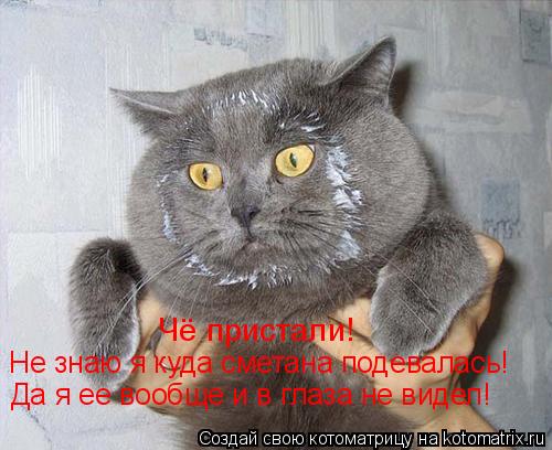 Чё пристали! Не знаю я куда сметана подевалась! Да я ее вообще и в глаза не видел!... Котоматрица: Чё пристали! Не знаю я куда сметана подевалась! Да я ее вообще и в глаза не видел!