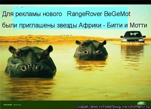Для рекламы нового RangeRover BeGeMot были приглашены звезды Африки - Бигги и Мотти... Котоматрица: Для рекламы нового RangeRover BeGeMot были приглашены звезды Африки - Бигги и Мотти