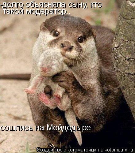 -долго обьясняла сыну, кто такой модератор.. сошлись на Мойдодыре... Котоматрица: -долго обьясняла сыну, кто такой модератор.. сошлись на Мойдодыре