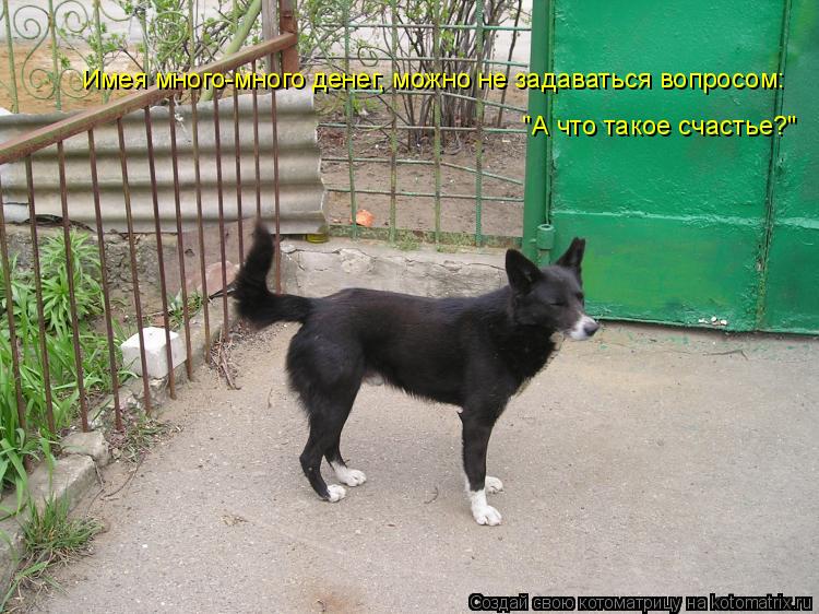 "А что такое счастье?" Имея много-много денег, можно не задаваться вопросом:... Котоматрица: "А что такое счастье?" Имея много-много денег, можно не задаваться вопросом: