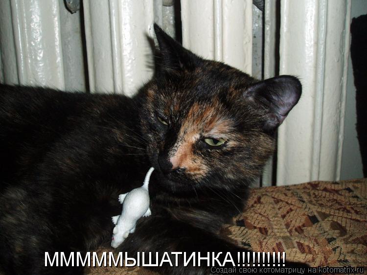 МММММЫШАТИНКА!!!!!!!!!!... Котоматрица: МММММЫШАТИНКА!!!!!!!!!!