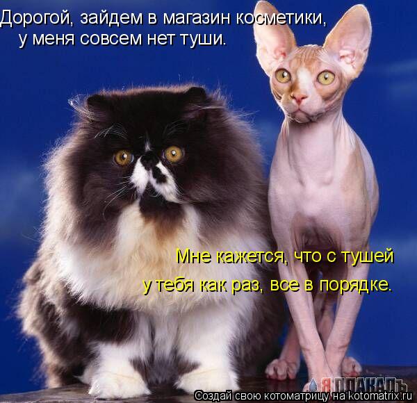 Дорогой, зайдем в магазин косметики, у меня совсем нет туши. Мне кажется, что с тушей у тебя как р... Котоматрица: Дорогой, зайдем в магазин косметики, у меня совсем нет туши. Мне кажется, что с тушей у тебя как раз, все в порядке.