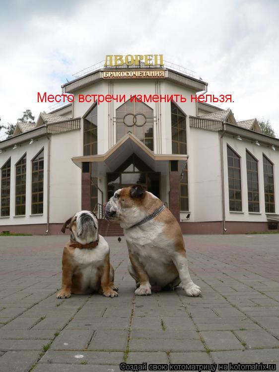 Место встречи изменить нельзя.... Котоматрица: Место встречи изменить нельзя.
