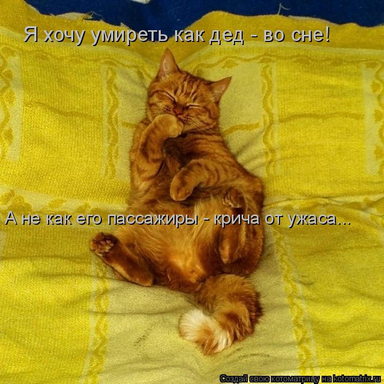 Я хочу умиреть как дед - во сне! А не как его пассажиры - крича от ужаса...... Котоматрица: Я хочу умиреть как дед - во сне! А не как его пассажиры - крича от ужаса...