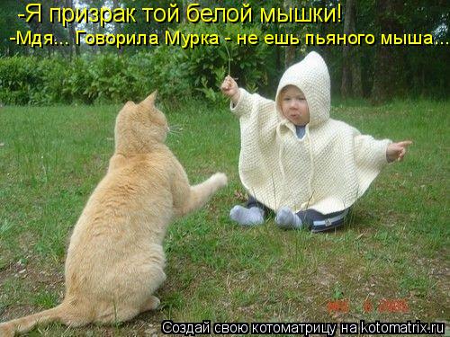 -Я призрак той белой мышки! -Мдя... Говорила Мурка - не ешь пьяного мыша...... Котоматрица: -Я призрак той белой мышки! -Мдя... Говорила Мурка - не ешь пьяного мыша...