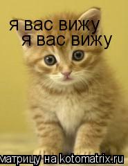 я вас вижу я вас вижу... Котоматрица: я вас вижу я вас вижу