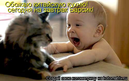 Обожаю китайскую кухню! сегодня на завтрак Барсик!... Котоматрица: Обожаю китайскую кухню! сегодня на завтрак Барсик!