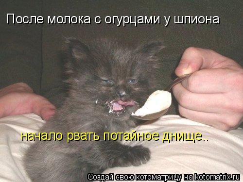 После молока с огурцами у шпиона начало рвать потайное днище..... Котоматрица: После молока с огурцами у шпиона начало рвать потайное днище..