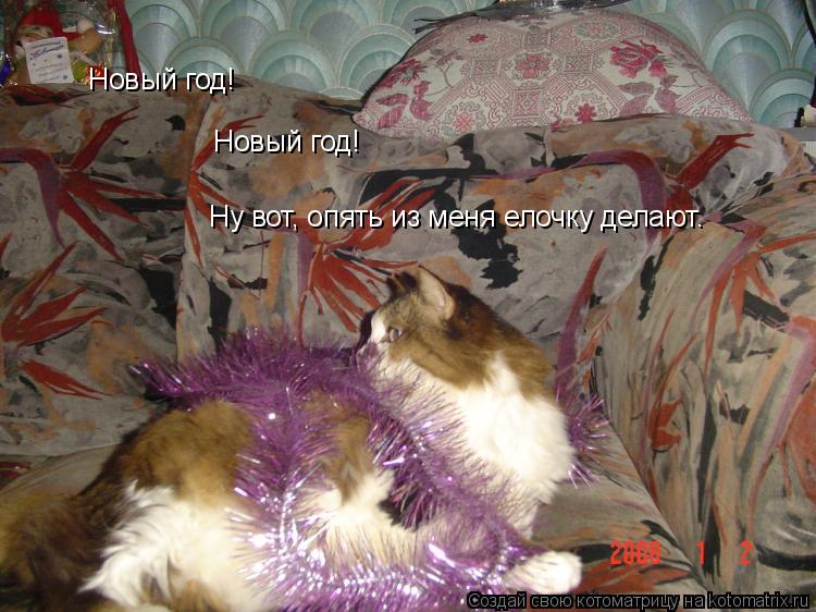 Новый год! Новый год! Ну вот, опять из меня елочку делают.... Котоматрица: Новый год! Новый год! Ну вот, опять из меня елочку делают.