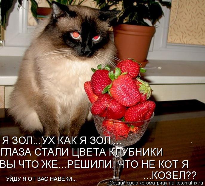 Я ЗОЛ...УХ КАК Я ЗОЛ.... ГЛАЗА СТАЛИ ЦВЕТА КЛУБНИКИ ВЫ ЧТО ЖЕ...РЕШИЛИ, ЧТО НЕ КОТ Я ...КОЗЕЛ?? УЙДУ ... Котоматрица: Я ЗОЛ...УХ КАК Я ЗОЛ.... ГЛАЗА СТАЛИ ЦВЕТА КЛУБНИКИ ВЫ ЧТО ЖЕ...РЕШИЛИ, ЧТО НЕ КОТ Я ...КОЗЕЛ?? УЙДУ Я ОТ ВАС НАВЕКИ...