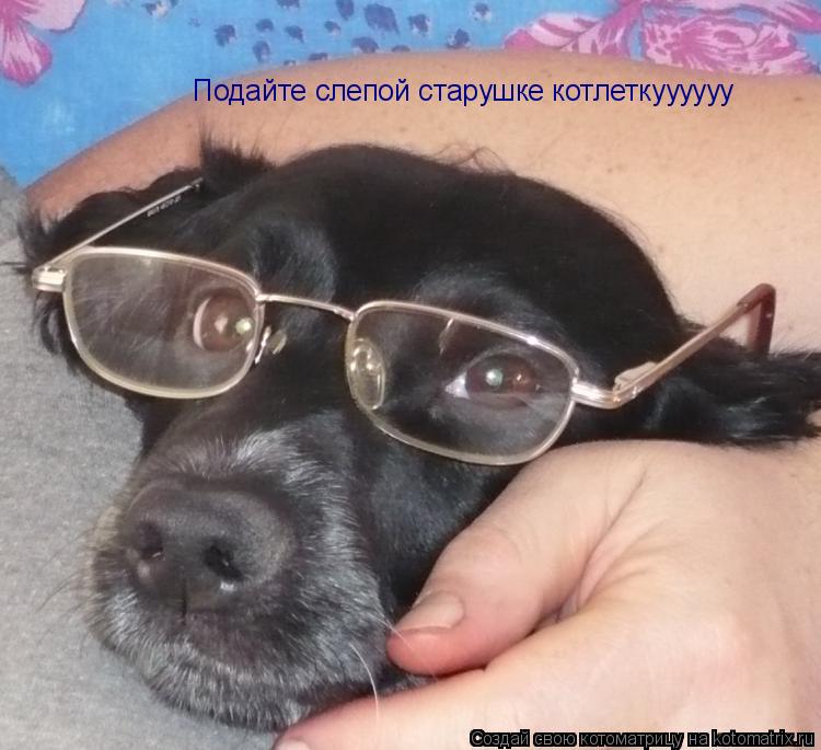 Подайте слепой старушке котлеткуууууу... Котоматрица: Подайте слепой старушке котлеткуууууу