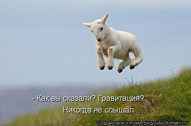 - Как вы сказали? Гравитация? Никогда не слышал...... Котоматрица: - Как вы сказали? Гравитация? Никогда не слышал...