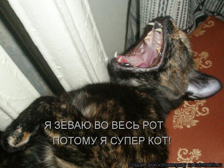 Я ЗЕВАЮ ВО ВЕСЬ РОТ ПОТОМУ Я СУПЕР КОТ!... Котоматрица: Я ЗЕВАЮ ВО ВЕСЬ РОТ ПОТОМУ Я СУПЕР КОТ!