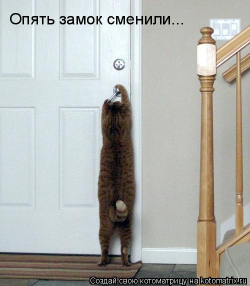 Опять замок сменили...... Котоматрица: Опять замок сменили...