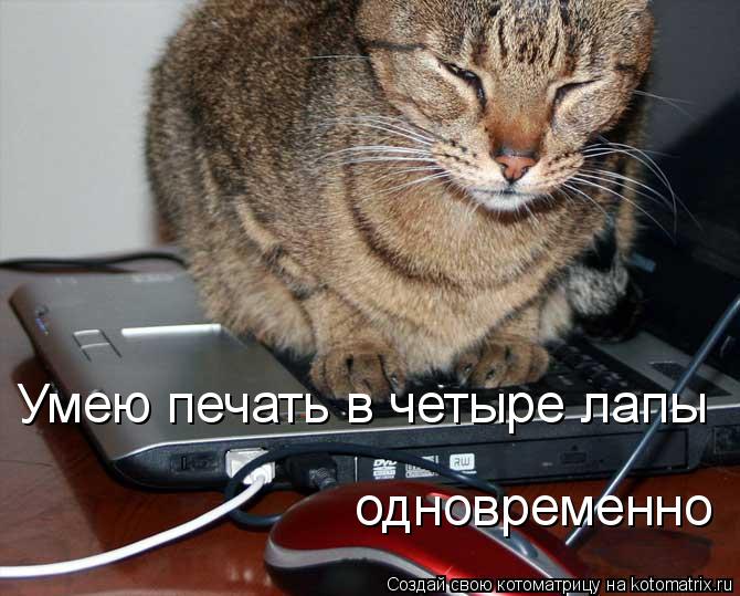 Умею печать в четыре лапы одновременно... Котоматрица: Умею печать в четыре лапы одновременно