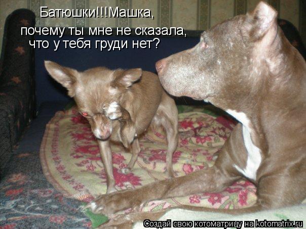 Батюшки!!!Машка, почему ты мне не сказала, что у тебя груди нет?... Котоматрица: Батюшки!!!Машка, почему ты мне не сказала, что у тебя груди нет?