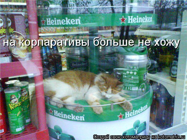на корпаративы больше не хожу... Котоматрица: на корпаративы больше не хожу