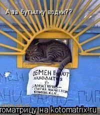 А за бутылку водки??... Котоматрица: А за бутылку водки??