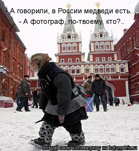 - А говорили, в России медведи есть... - А фотограф, по-твоему, кто?..... Котоматрица: - А говорили, в России медведи есть... - А фотограф, по-твоему, кто?..